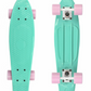 Teal Green Skate Board Skateboard 22" Cruiser Board